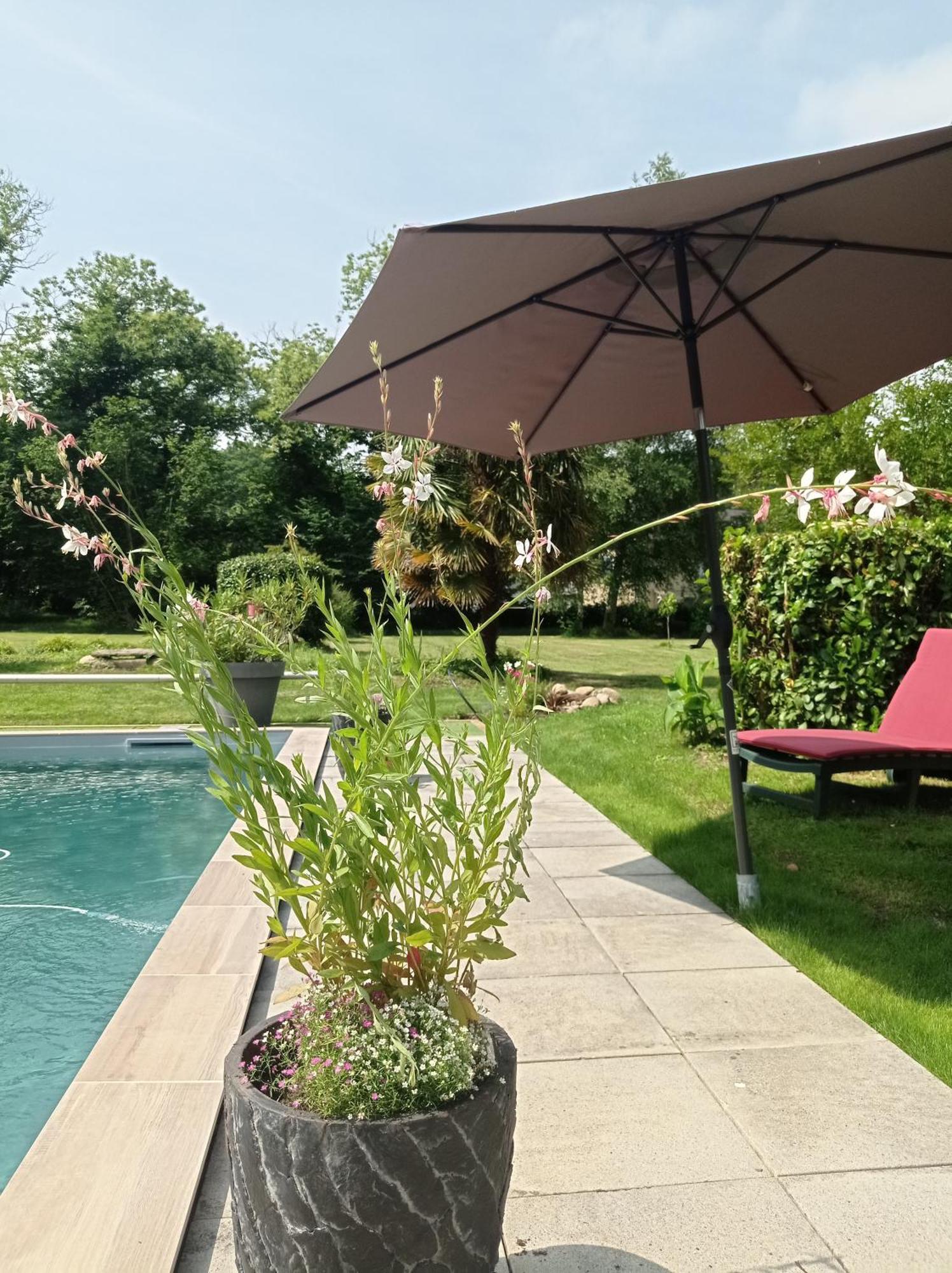 Le Clos De Cinacle Ogeu-les-Bains Esterno foto